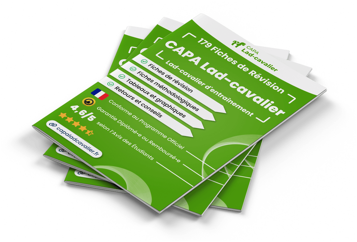 Image produit fiches-de-revision